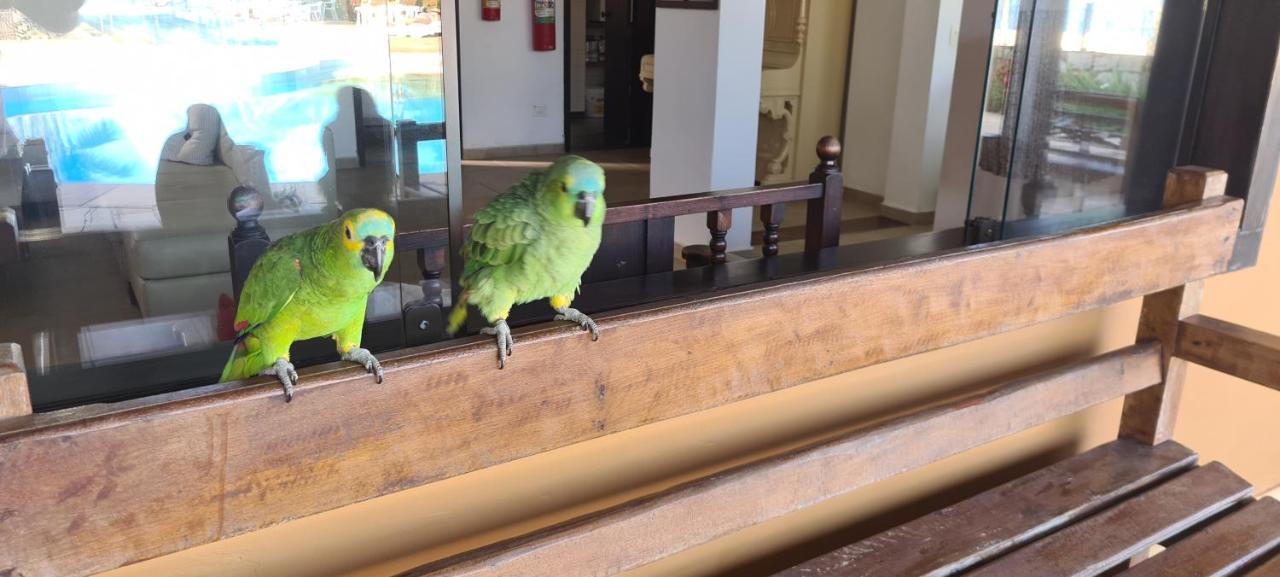 Pousada Casa Amarela Hotel Ilhabela Eksteriør billede